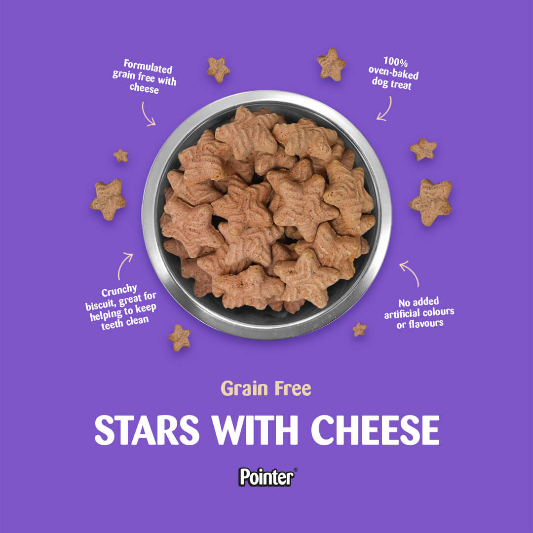 Pointer Stars with Cheese Grain Free Dog Treats - 6 x 400g, Pointer,