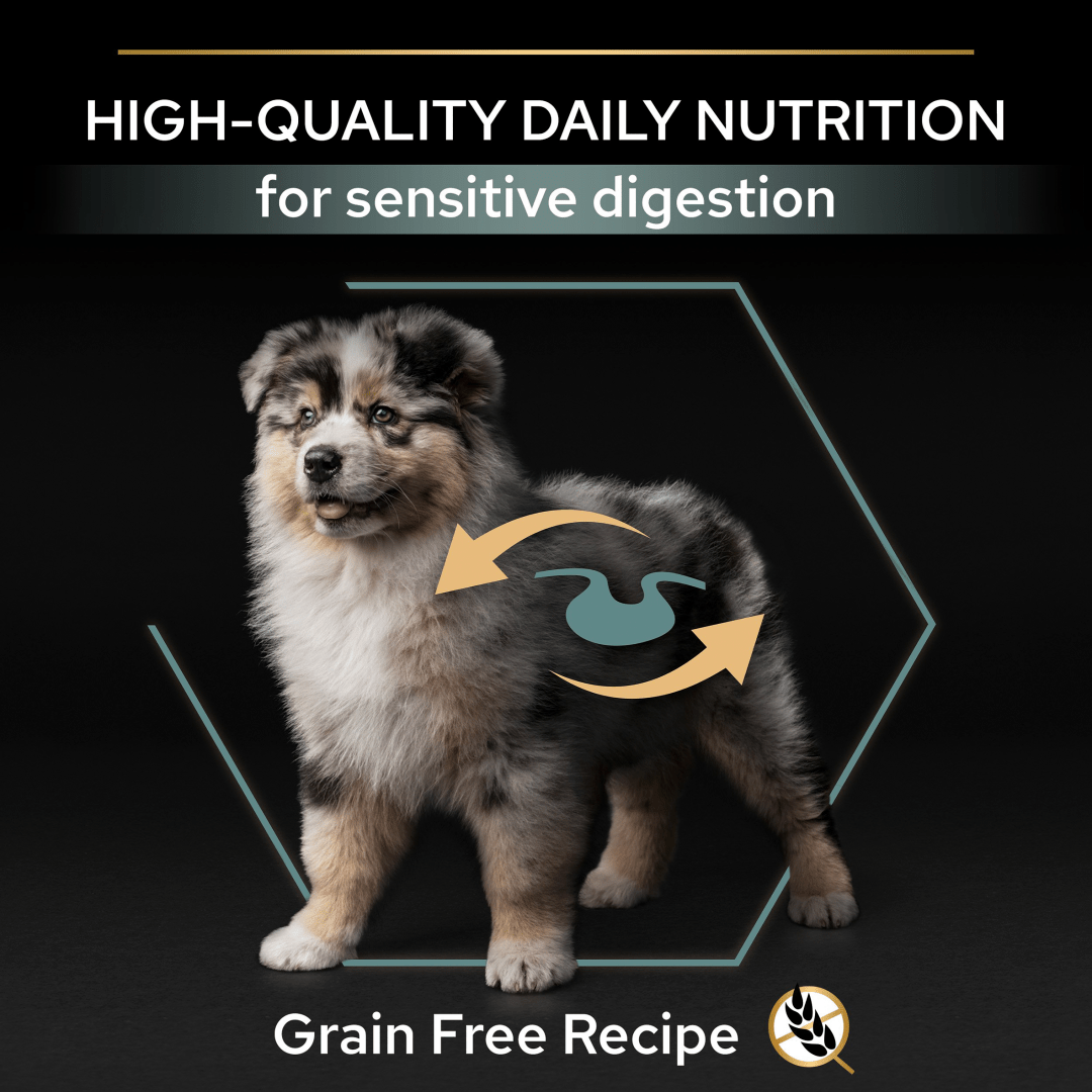 Pro Plan All Sizes Puppy Grain Free Sensitive Digestion Turkey Dry Dog Food 12 kg, Pro Plan,