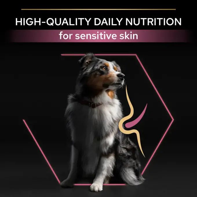 Pro Plan Medium and Large Adult 7+ Sensitive Skin Salmon Dry Dog Food, Pro Plan, 14 kg