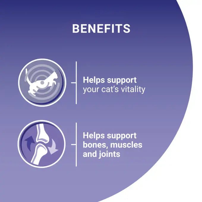 PURINA ONE Mini Fillets Mixed Selection in Gravy Adult Wet Cat Food - 40 x 85g, Purina One,