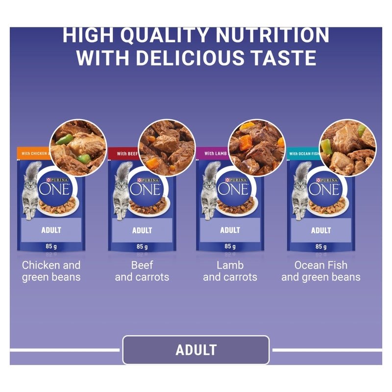 PURINA ONE Mini Fillets Mixed Selection in Gravy Adult Wet Cat Food - 40 x 85g, Purina One,