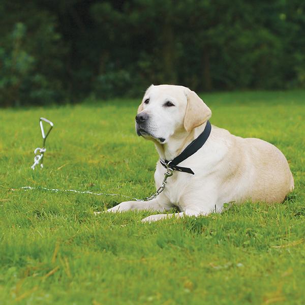 Rosewood Stake Out Spike, Rosewood,