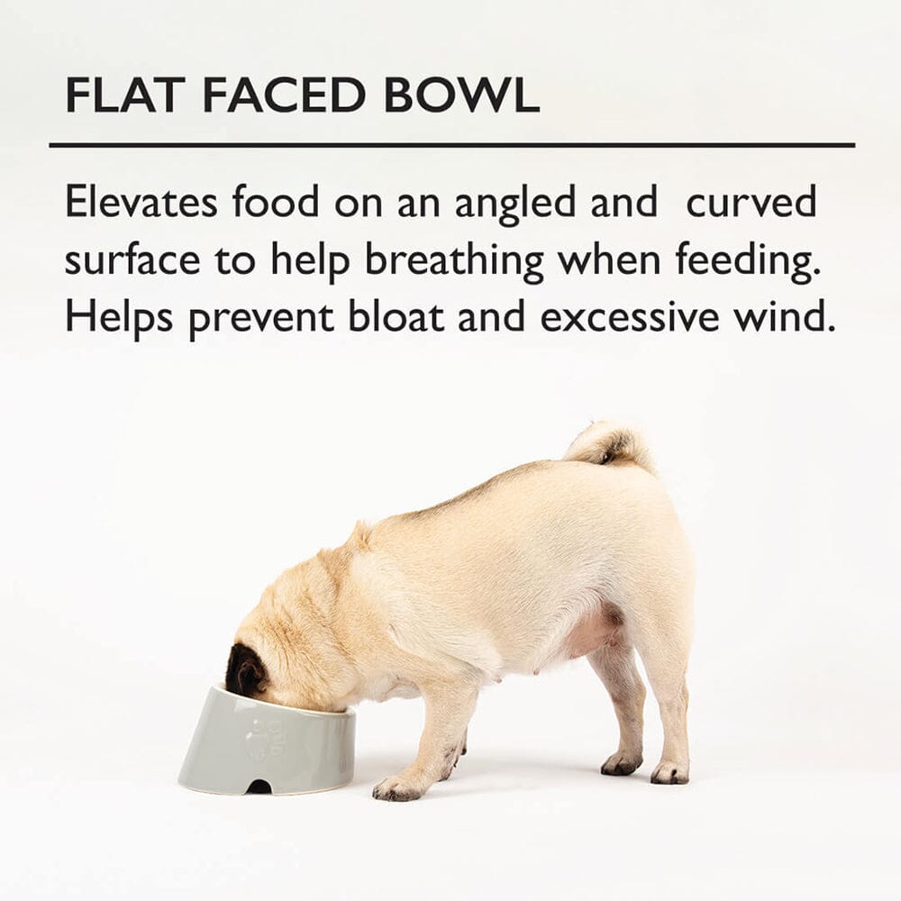 Scruffs Classic Grey Slanted Flat faced Dog Bowl, Scruffs,