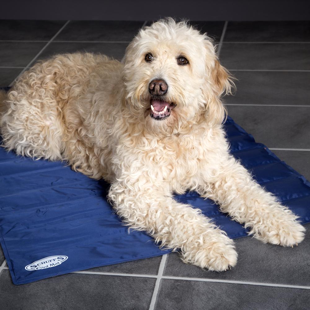 Scruffs Cool Mat Blue, Scruffs, XL 120 x 75cm