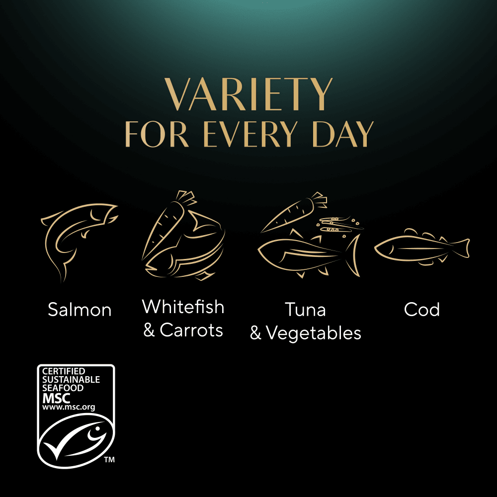 Sheba Classics Fish Selection in Terrine Trays Adult Cat Food - 4x (8x85g), Sheba,