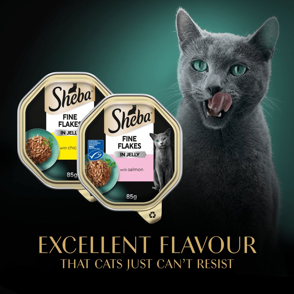 Sheba Fine Flakes Mixed Selection in Jelly - 4x (8x85g) Adult Wet Cat Food, Sheba,
