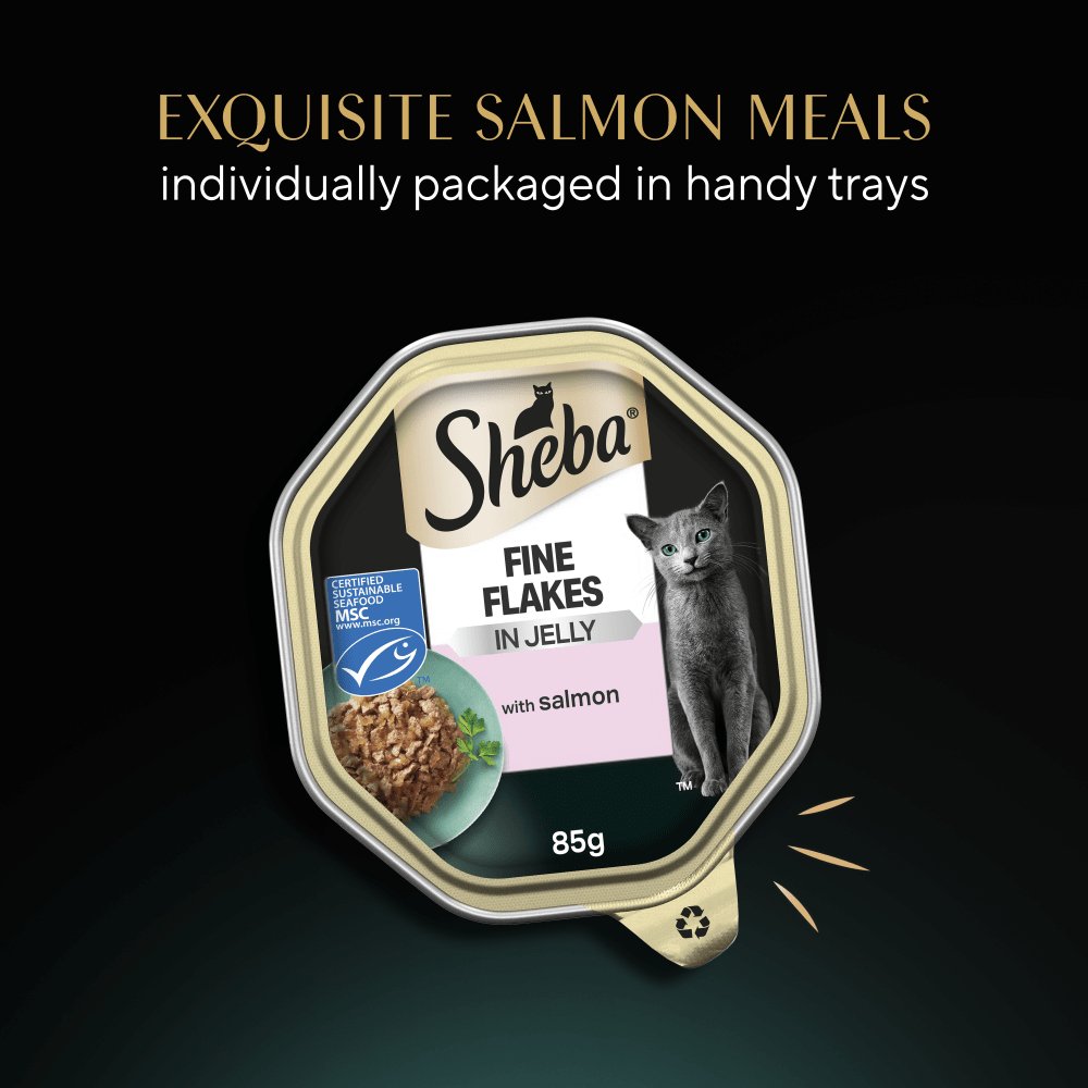 Sheba Fine Flakes with Salmon in Jelly Adult Cat Food - 22 x 85g Trays, Sheba,