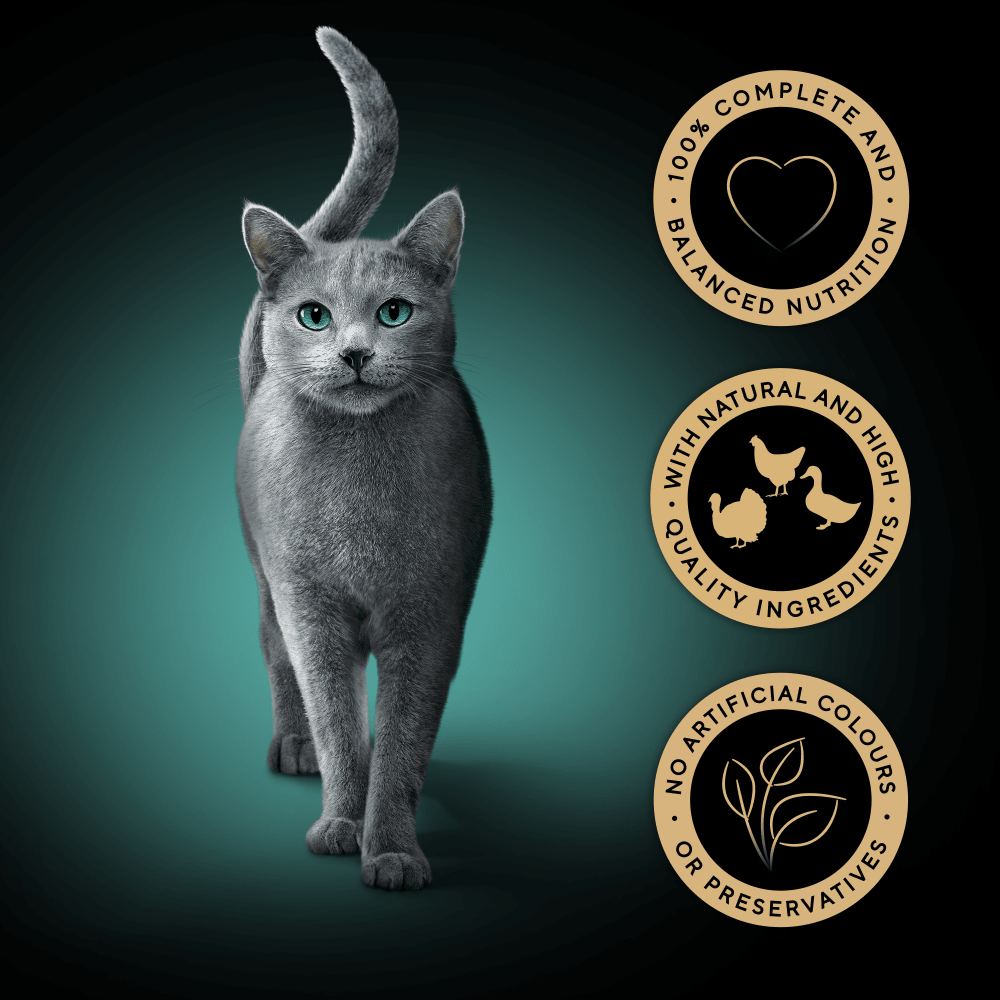 Sheba Fresh Cuisine Taste of Rome Pouches Mixed in Gravy - 48 x 50g, Sheba,