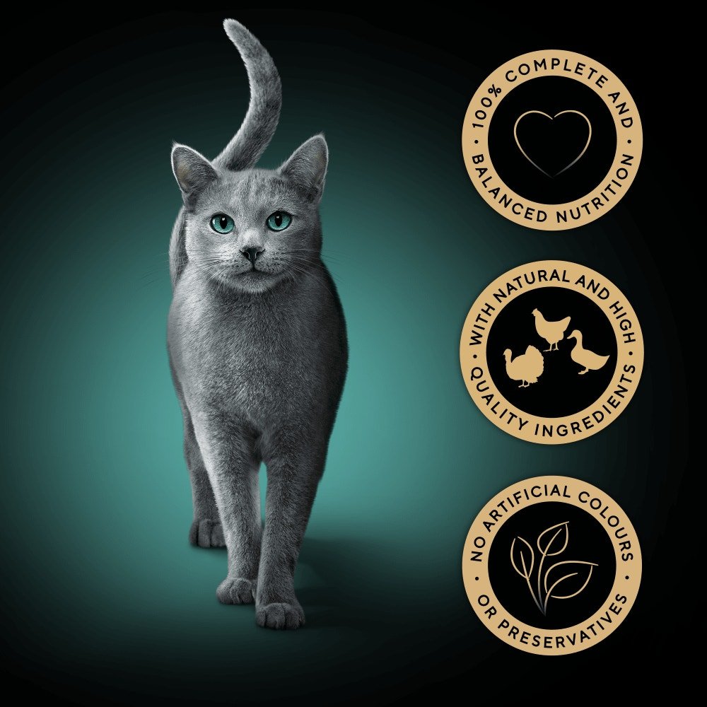 Sheba Fresh & Fine Adult Chicken & Poultry & Turkey in Gravy Pouches - 45 x 50g, Sheba,