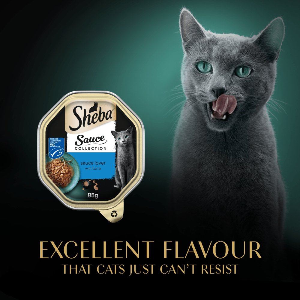Sheba Sauce Collection Sauce Lover with Tuna 22 x 85g Adult Cat Food Trays, Sheba,
