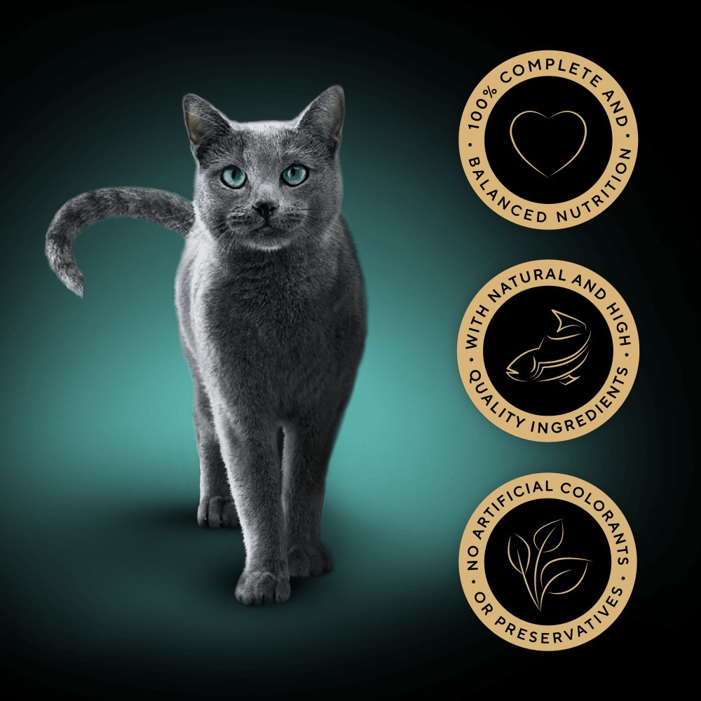 Sheba Tray Fine Flakes with Chicken in Jelly 22 x 85g Adult Cat Food, Sheba,