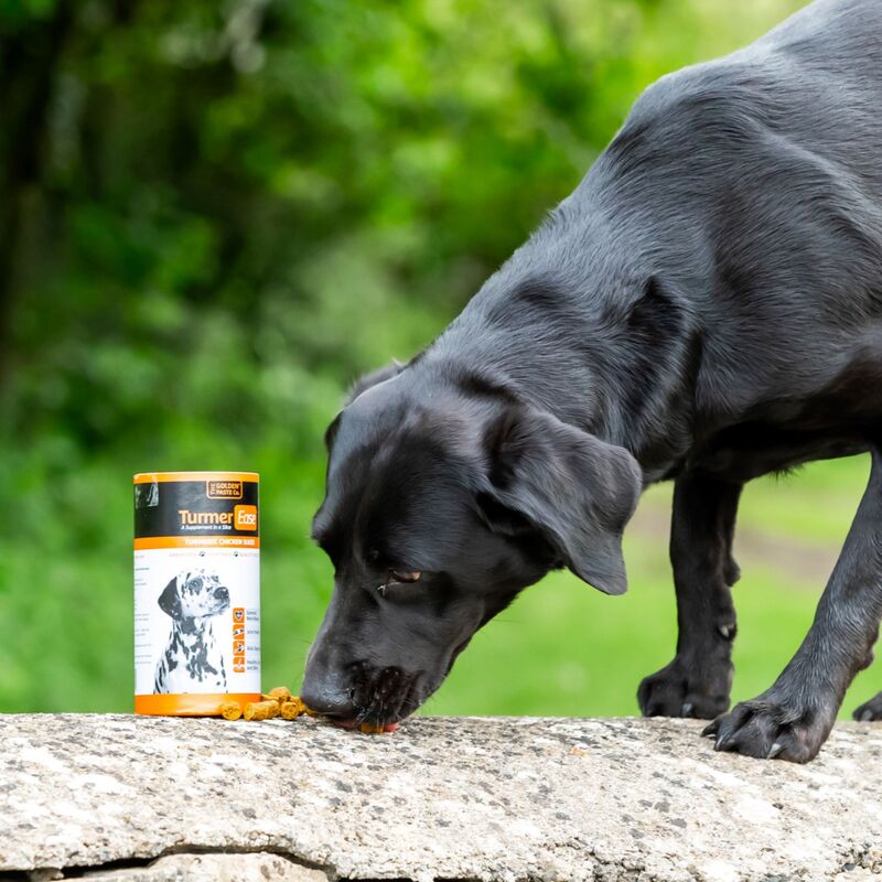 The Golden Paste Co. TurmerEase Turmeric Pet Joint Supplement, The Golden Paste Co,