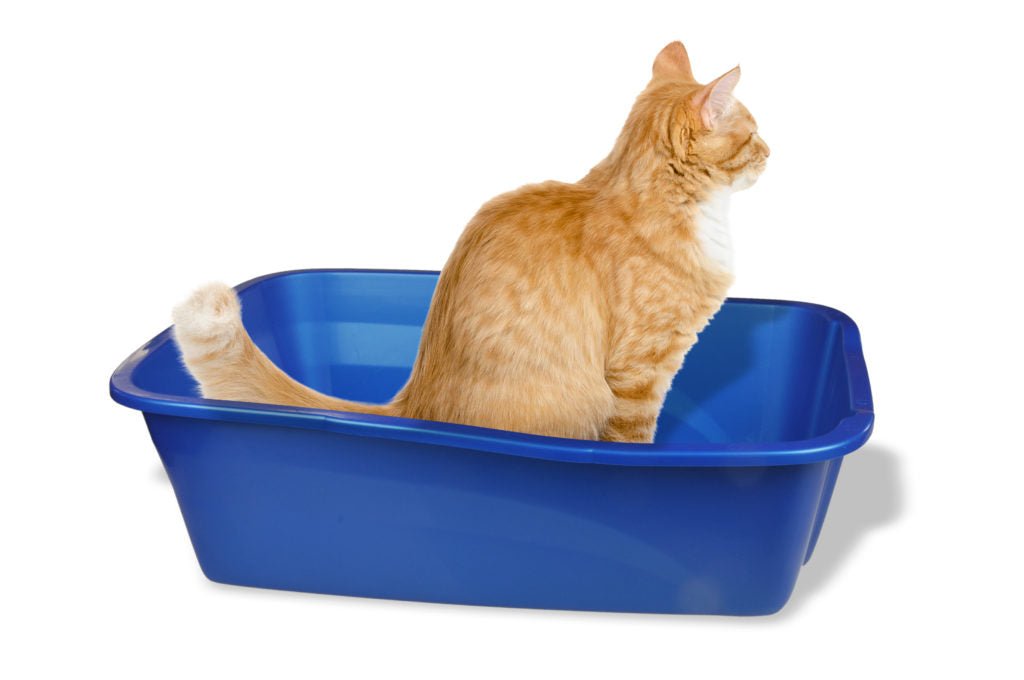 Van Ness Cat Litter Tray, Van Ness, Giant