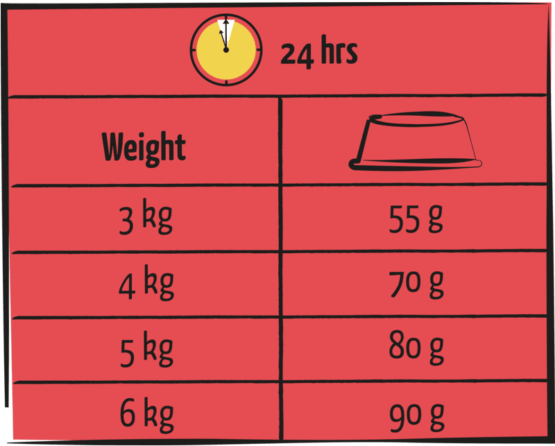 Versele - Laga Lara Adult Cat Lamb Dry Food - 7.6 kg, Versele Laga,