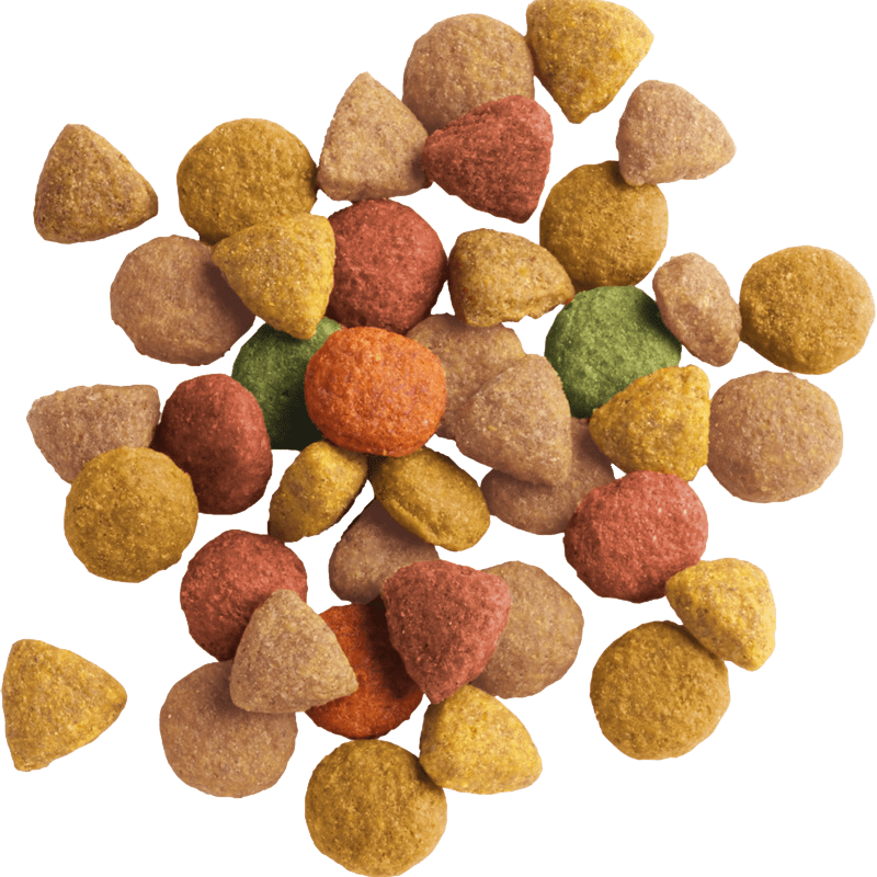 Versele - Laga Lara Adult Cat Turkey & Chicken Dry Cat Food, Versele Laga, 10 kg