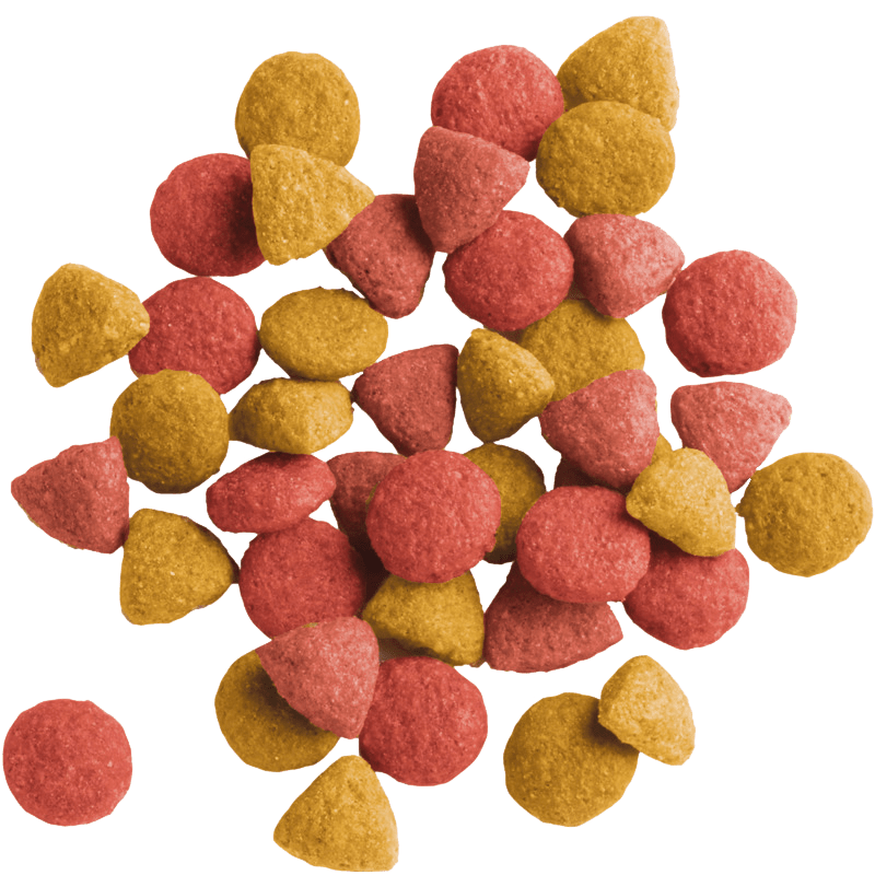 Versele - Laga Lara Adult Cat Urinary Care Dry Food - 8 kg, Versele Laga,