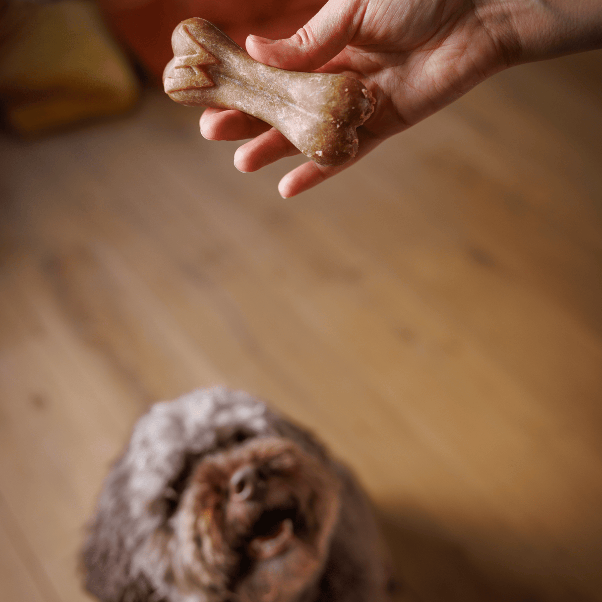 Whimzees Rice Bones Medium/Large Dog Treat x 50 Box, Whimzees,