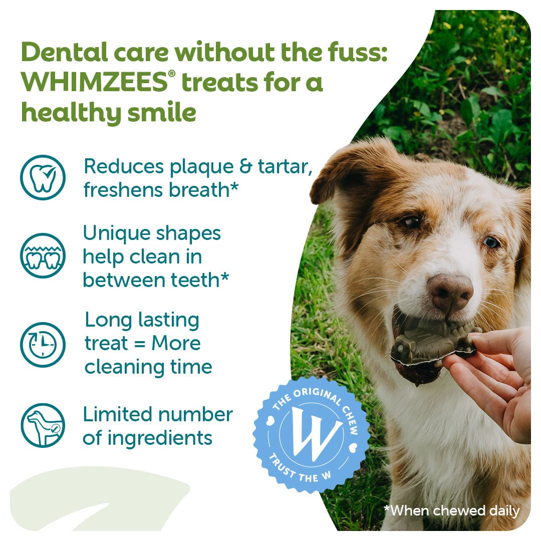 Whimzees Small Alligator Daily Dental Treat For Dogs - 24 pack x 6, Whimzees,