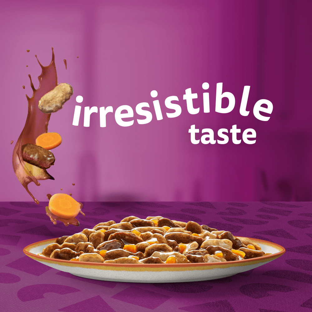 Whiskas 1+ Country Collection Adult Wet Cat Food Pouch in Gravy - 48 x 85g, Whiskas,