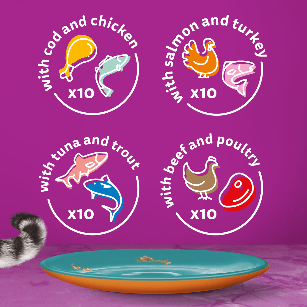 Whiskas 1+ Duo Surf & Turf in Jelly Adult Wet Cat Food Pouches, Whiskas, 40 x 85g