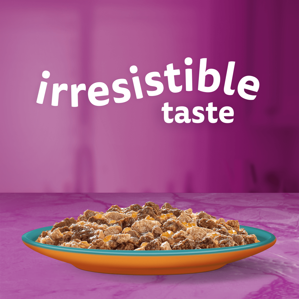 Whiskas 1+ Duo Surf & Turf in Jelly Adult Wet Cat Food Pouches, Whiskas, 80 x 85g