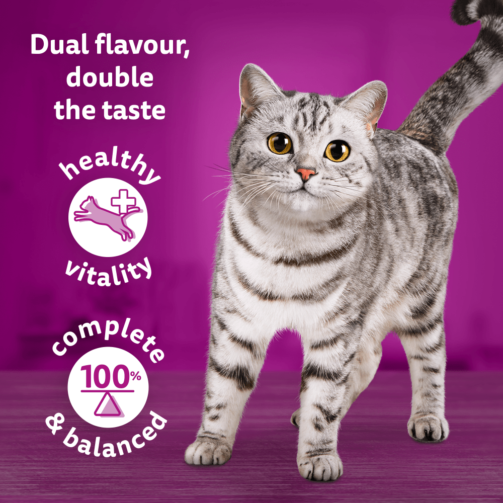 Whiskas 1+ Duo Surf & Turf in Jelly Adult Wet Cat Food Pouches, Whiskas, 80 x 85g