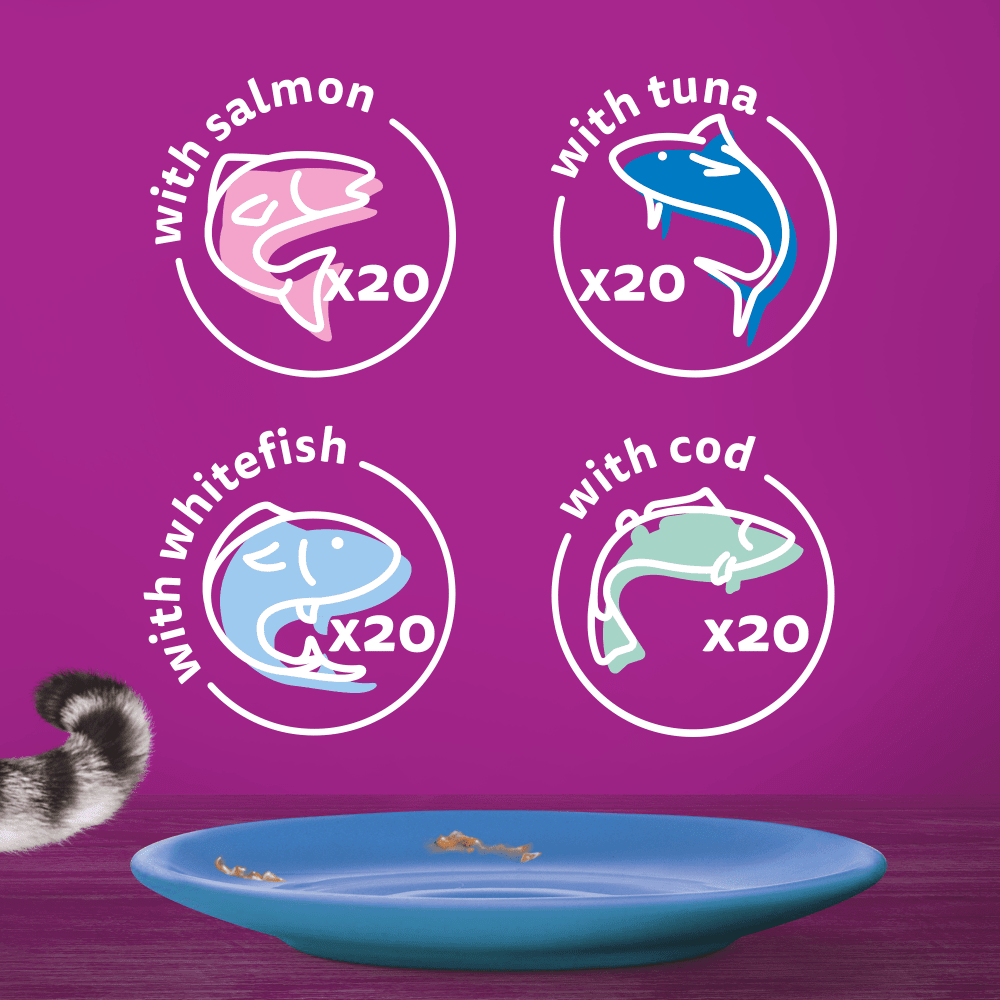 Whiskas 1+ Fish Favourites in Jelly Adult Wet Cat Food Pouches, Whiskas, 80 x 85g