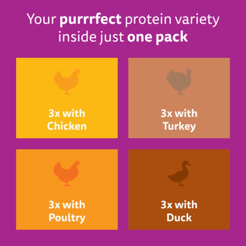 Whiskas 1+ Poultry Feasts Adult Wet Cat Food Pouches in Gravy - 48 x 85g, Whiskas,