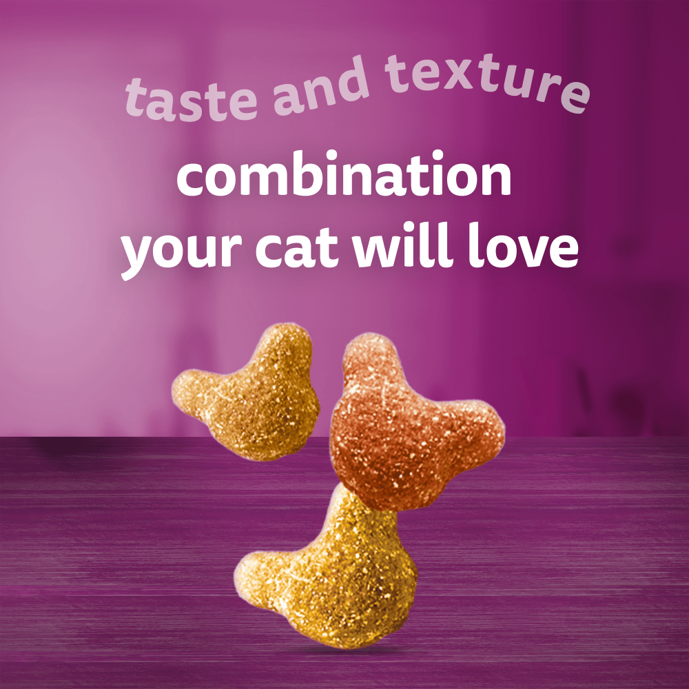 Whiskas Crunch Tasty Topping Adult Cat Treat Biscuits - 6 x 100g, Whiskas,