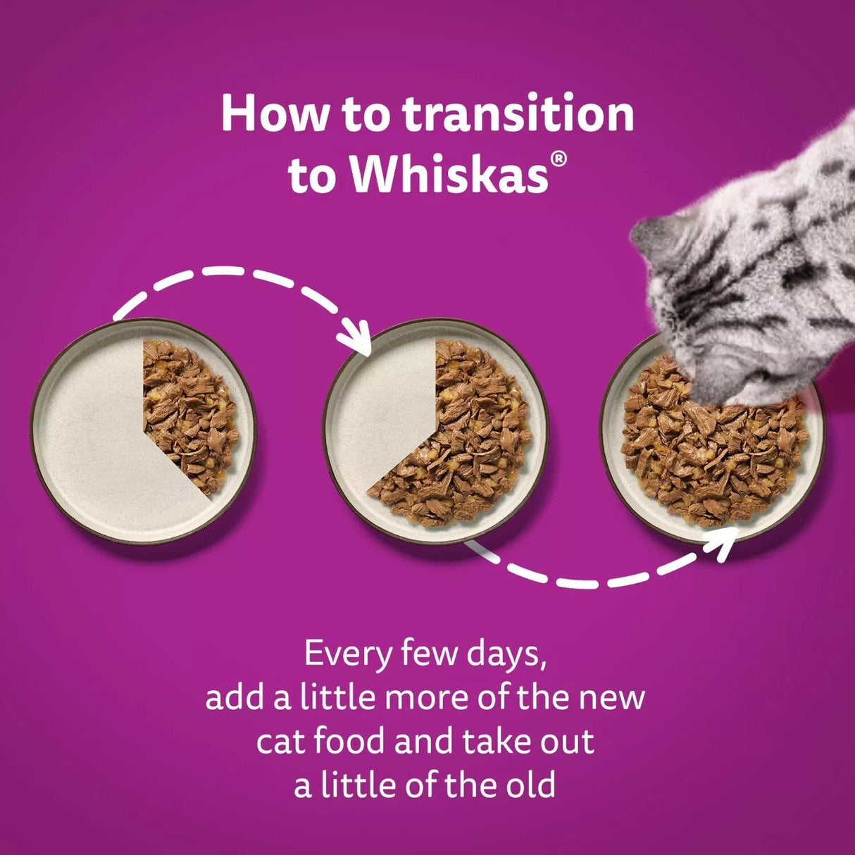 Whiskas Senior 11+ Poultry Feasts in Jelly Wet Cat Food Pouches 4x (12x85g), Whiskas,