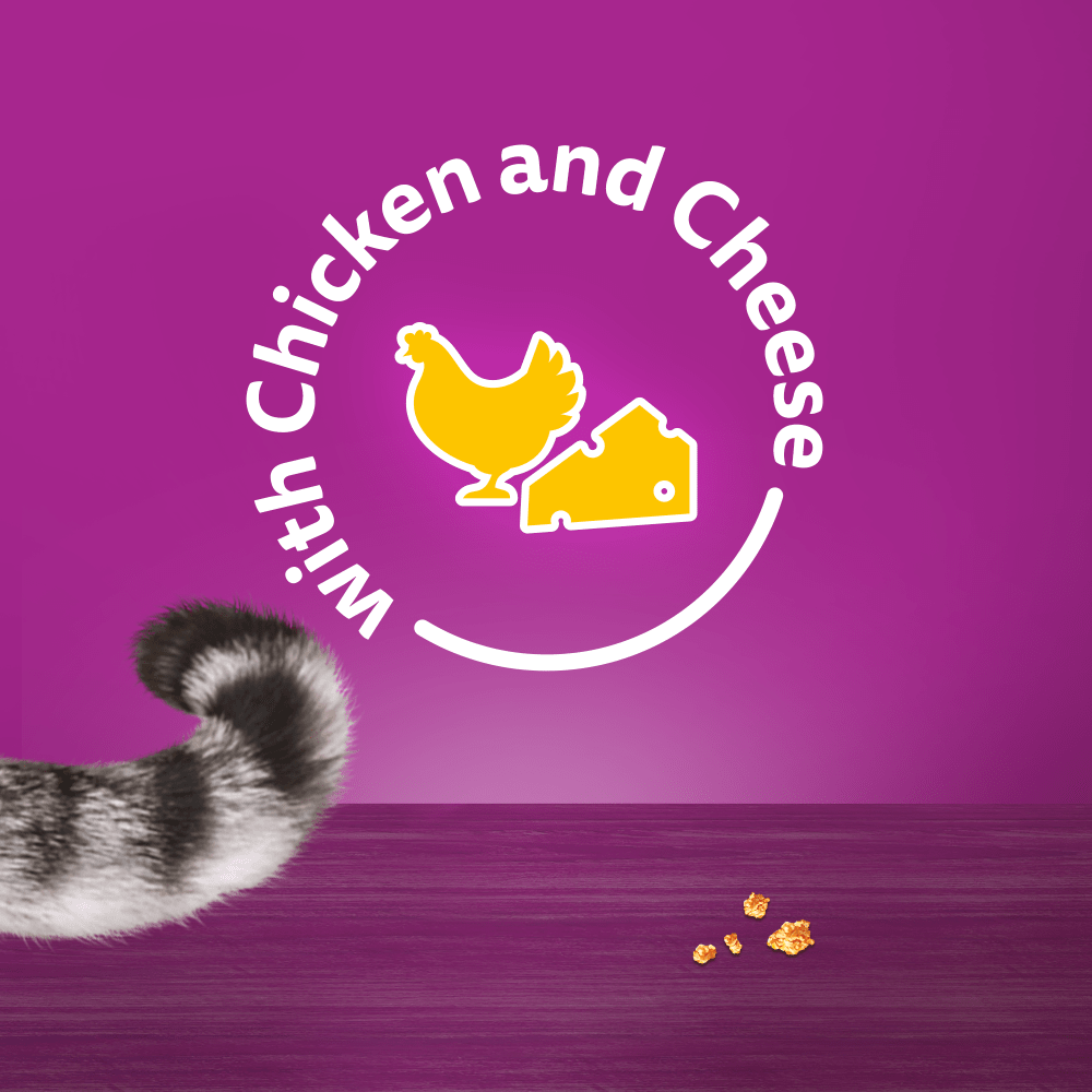 Whiskas Temptations with Chicken & Cheese Adult Cat Treats - 6 x 60g, Whiskas,