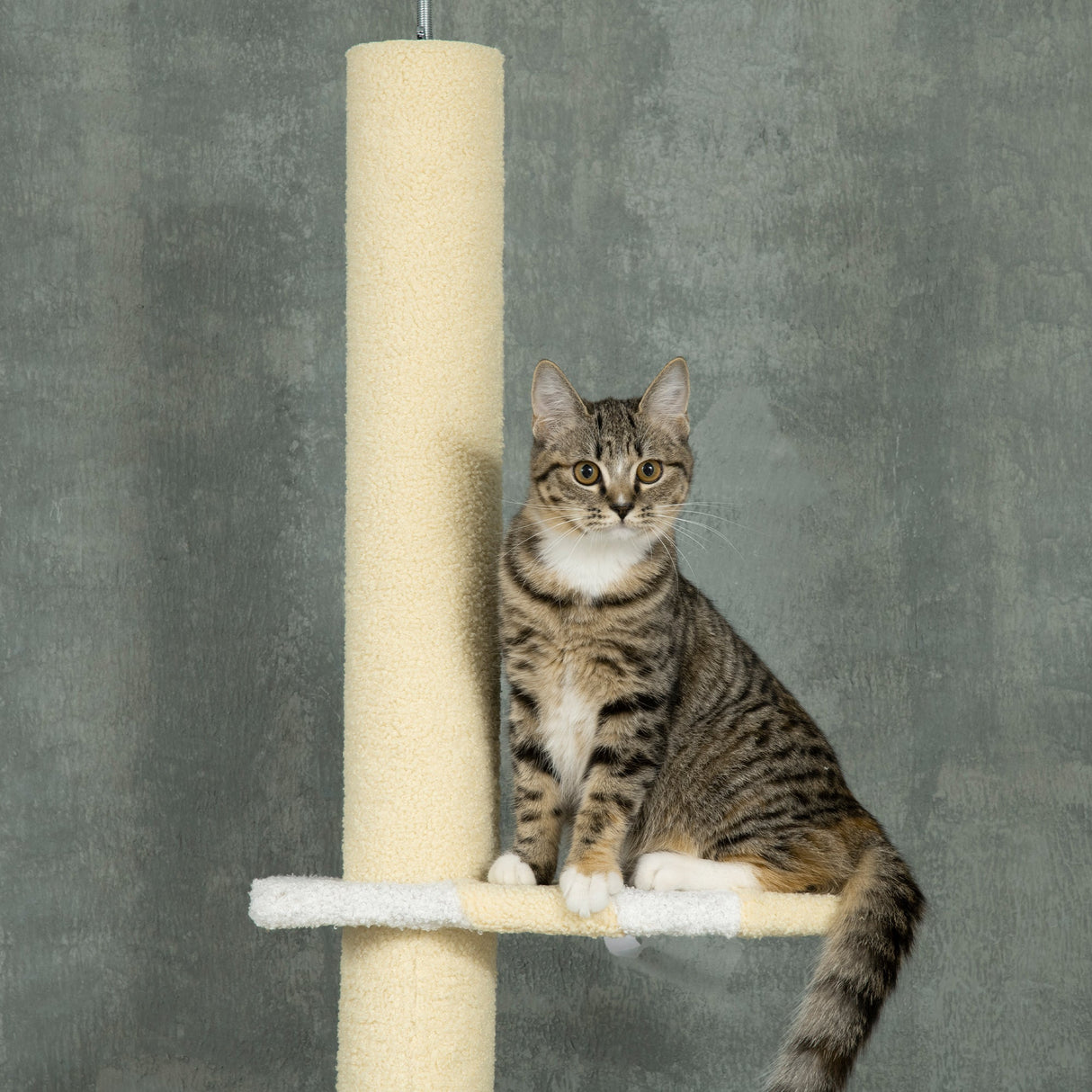 260cm Floor to Ceiling Cat Tree, Height Adjustable Kitten Tower with Anti-slip Kit, Multi-Layer Activity Center with Fish-shaped Perches Scratching Post Ball Toy, Yellow, PawHut,