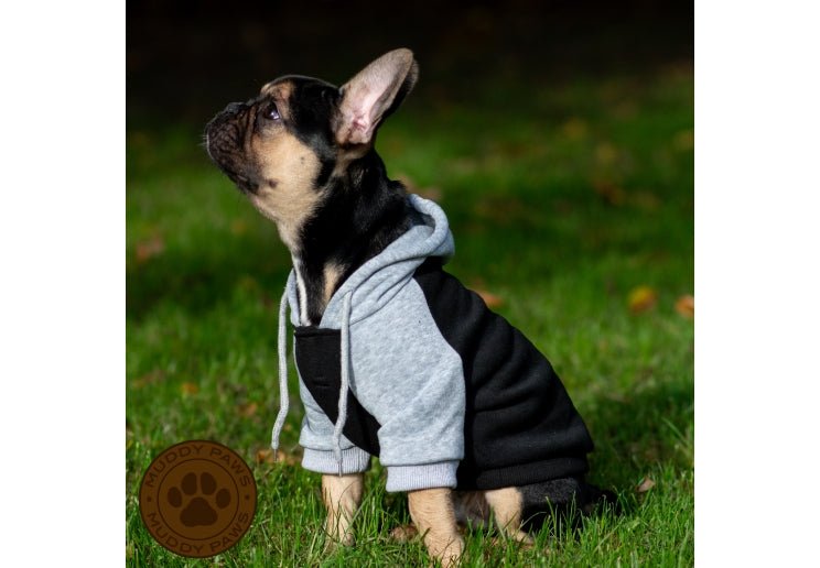 Ancol Black & Grey Hoodie Dog Jumper, Ancol, XS 25cm