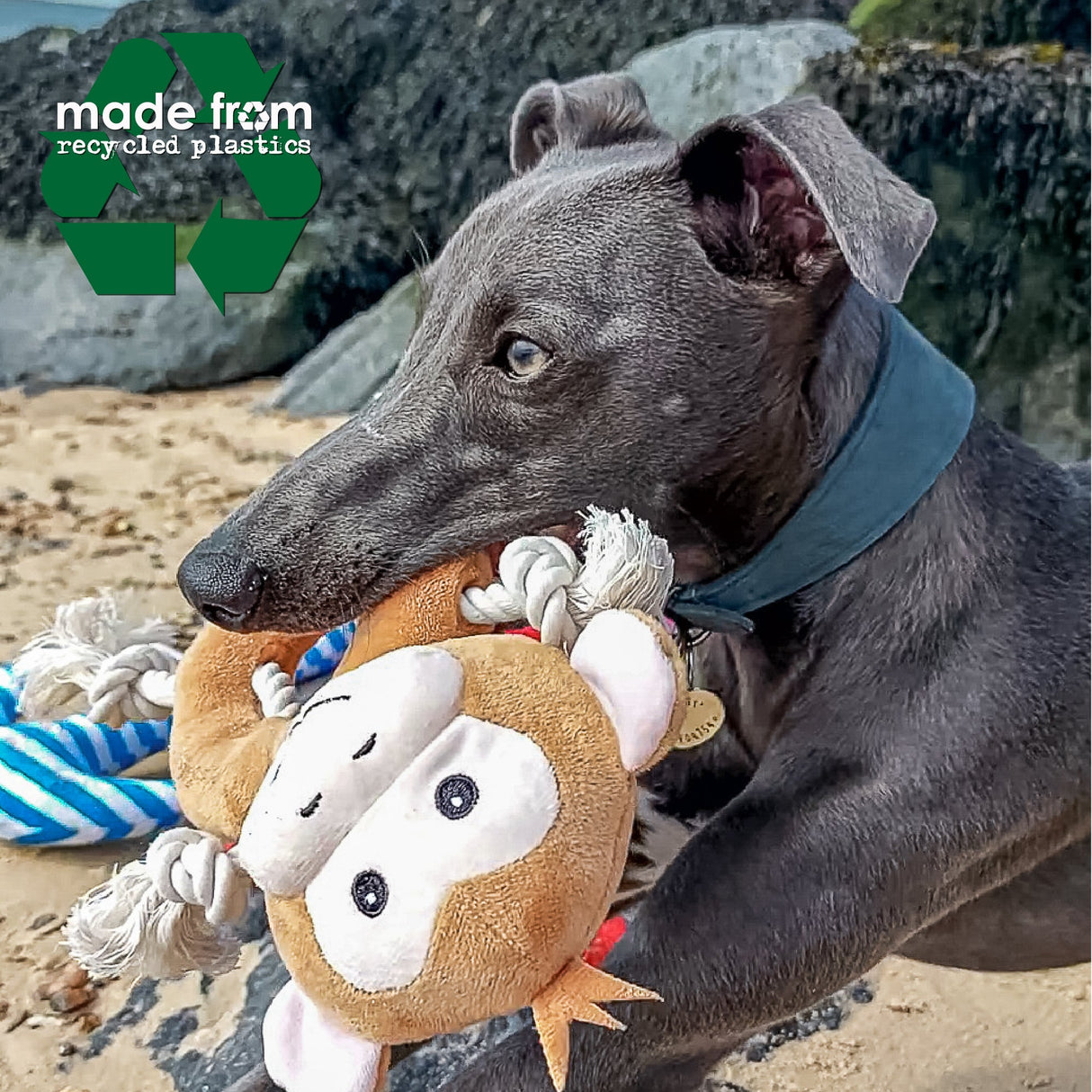 Ancol | Made From | Koala, Monkey and Panda x3 Dog Toys, Ancol,