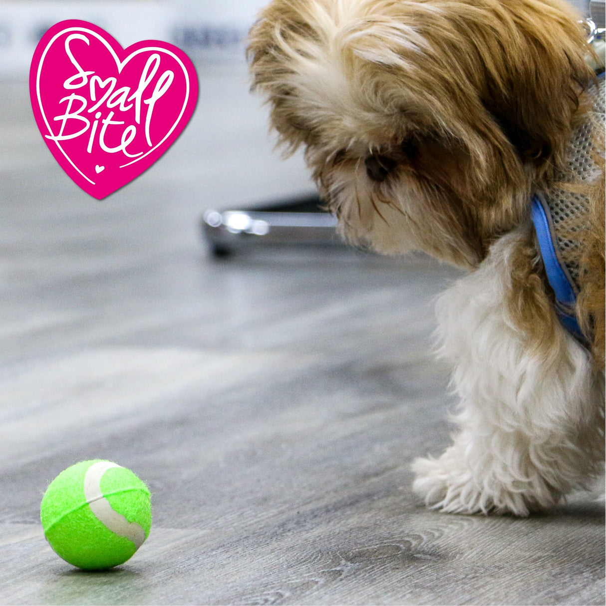Ancol Small Bite Mini Tennis Balls x6 Puppy Toy, Ancol,