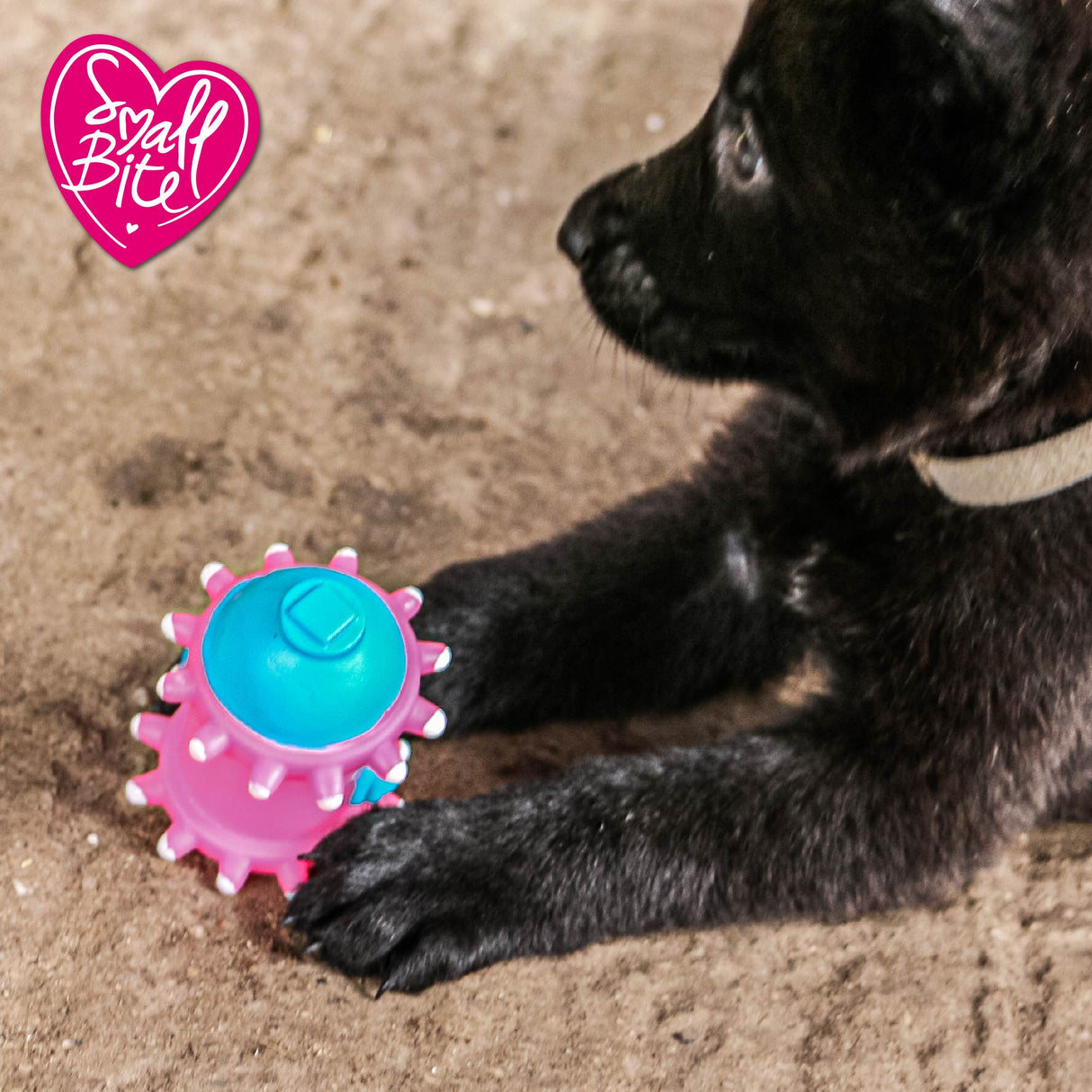 Ancol Small Bite Puppy Selection 4pack, Ancol,