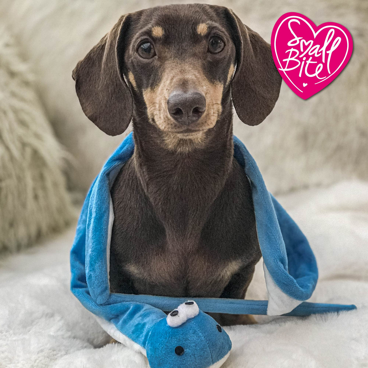 Ancol Small Bite Snake Teaser Puppy Toy, Ancol,