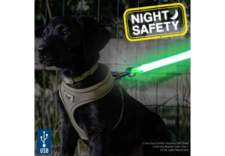 Ancol USB Hi-Vis Flashing Lead Attachment, Ancol,