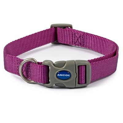 Ancol Viva Adjustable Quick Fit Dog Collar, Ancol, 30-50 cm