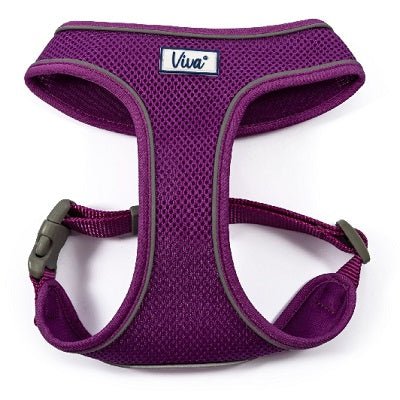 Ancol Viva Comfort Mesh Dog Harness, Ancol, S 34-45cm