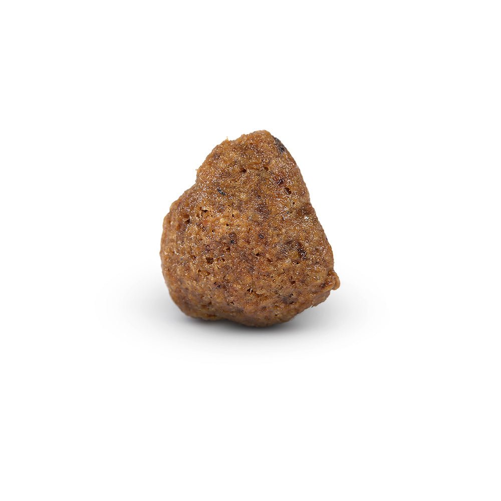 Arden Grange Sensitive Adult Large Breed Dog Food Ocean White Fish & Potato, Arden Grange, 12 kg