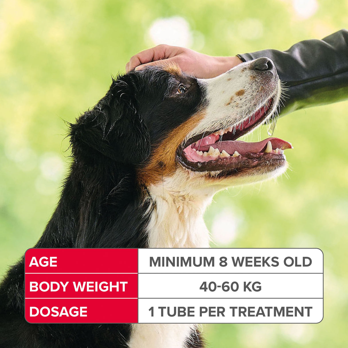 Beaphar FIPROtec Flea & Tick Spot On for Extra Large Dogs, Beaphar, 4 pipettes x 6