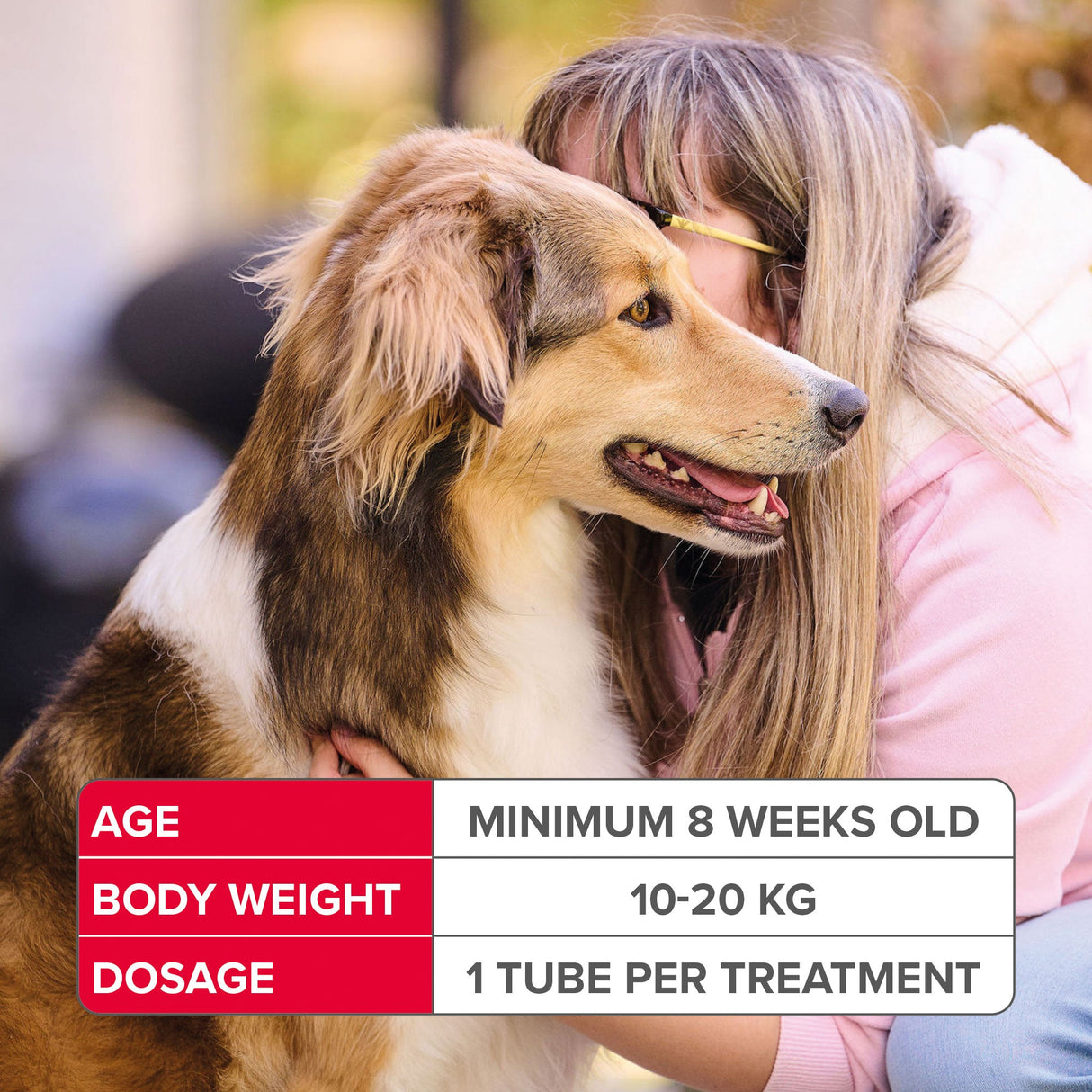 Beaphar FIPROtec Flea & Tick Spot On for Medium Dogs, Beaphar, 6 pipettes x 6