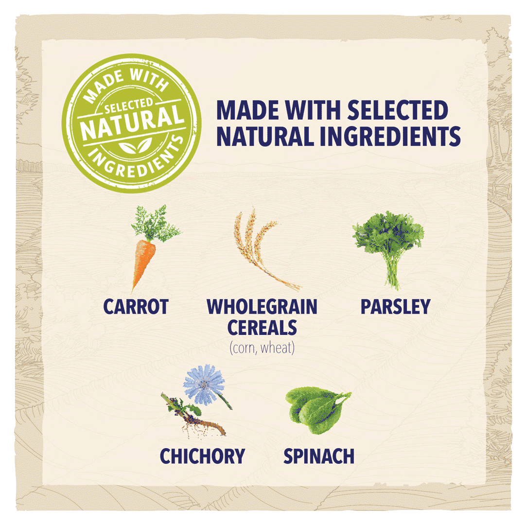 BETA Adult Large Breed Turkey Dry Dog Food 14 kg, Beta,