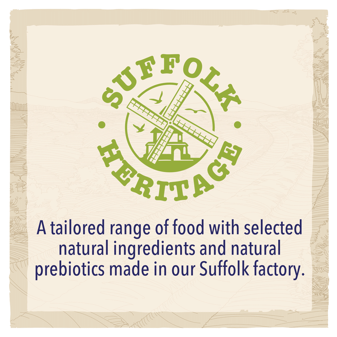 BETA Adult Large Breed Turkey Dry Dog Food 14 kg, Beta,