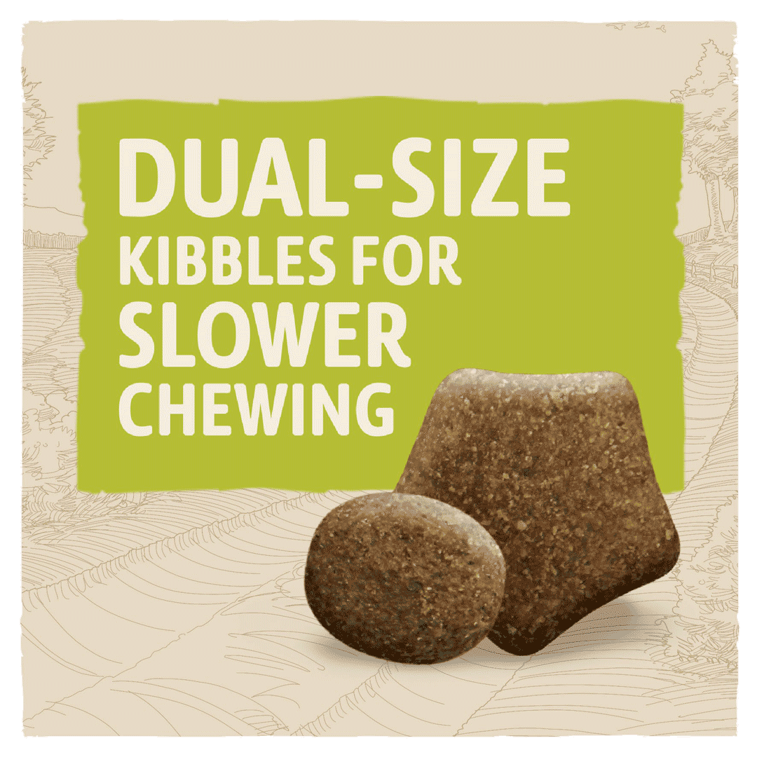 BETA Adult Large Breed Turkey Dry Dog Food 14 kg, Beta,