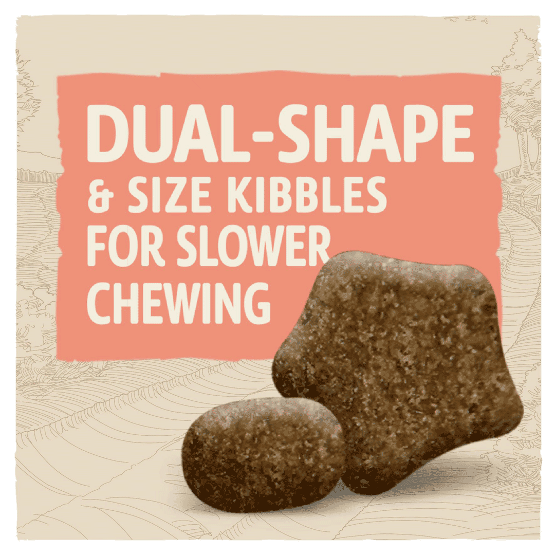 BETA Adult Sensitive Salmon & Rice, Beta, 2 kg