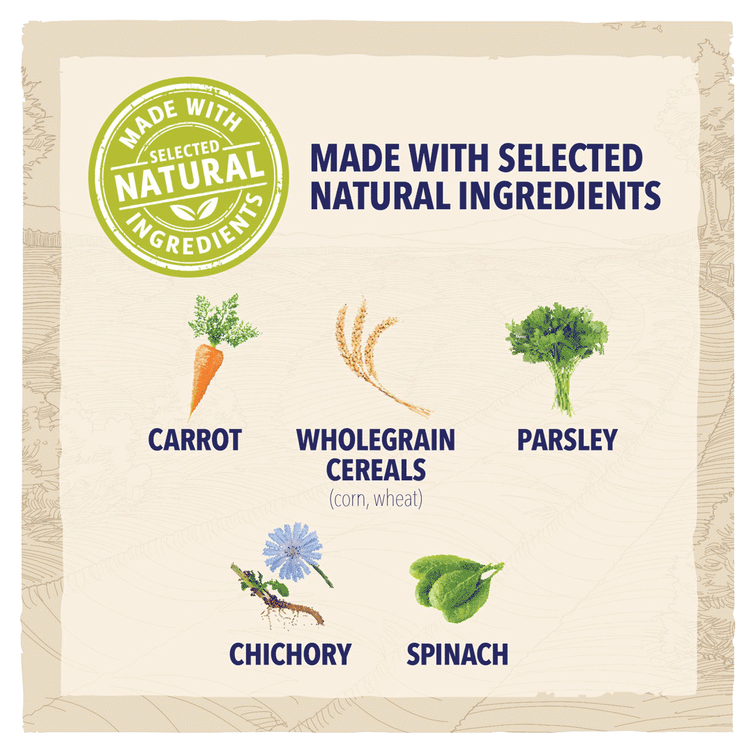 BETA Adult Small Breed Chicken Dry Dog Food 2 kg, Beta,