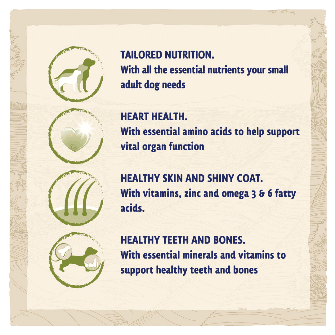 BETA Adult Small Breed Chicken Dry Dog Food 2 kg, Beta,