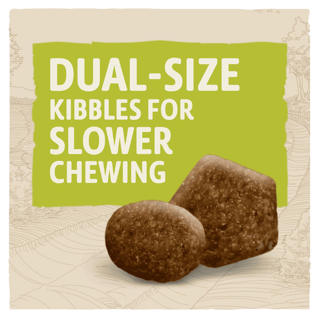 BETA Adult Small Breed Chicken Dry Dog Food 2 kg, Beta,